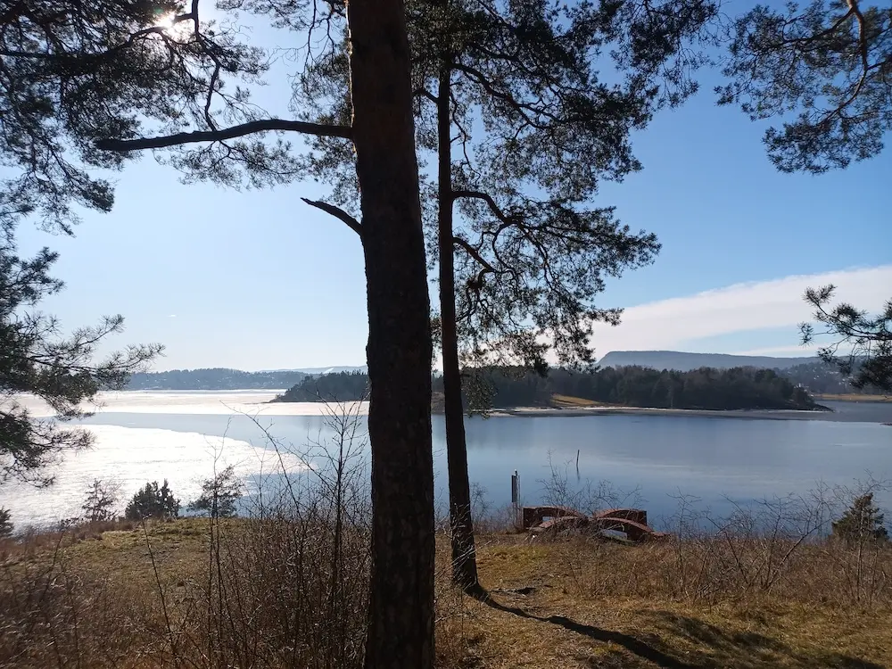 Photographie depuis une île à proximité d'Oslo